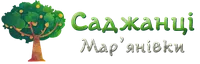 Саджанці Сливи Анна Шпет