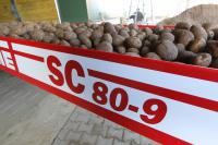 Опора B95.05119 круглая 75X50X37 для транспортеров SC 80-7/SC 80-9/SC 80-12 Grimme