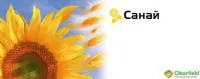 Семена подсолнечника Сингента Санай
