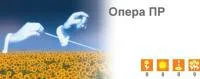 Семена подсолнечника Сингента Опера ПР
