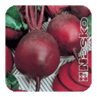 Семена Свеклы ЭФИОП