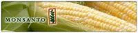 Семена кукурузы Monsanto DKC 2787